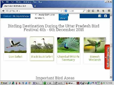 wah government, bird in Lion Safari!
